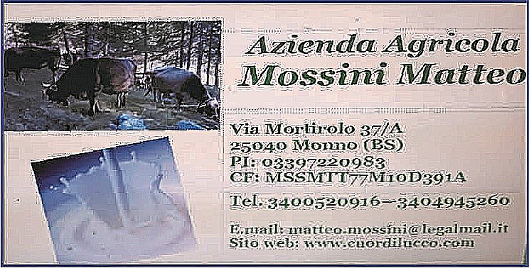 Mossini Matteo                     